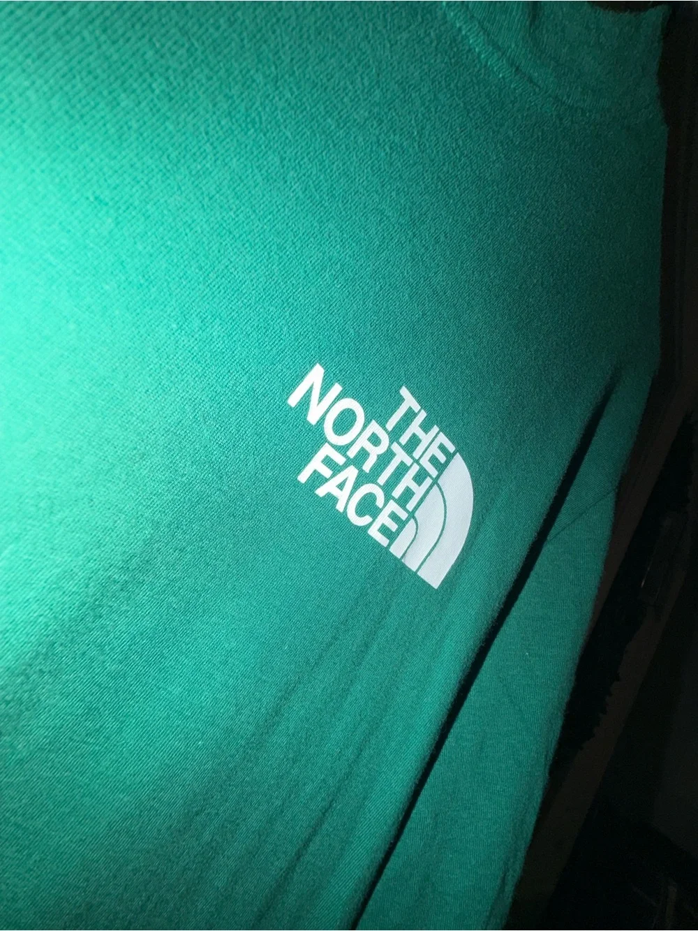 The North Face Men's Long Sleeve Logo Tee - Green- Small